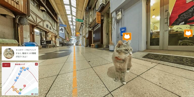 Ora Google Street View è anche per i gatti