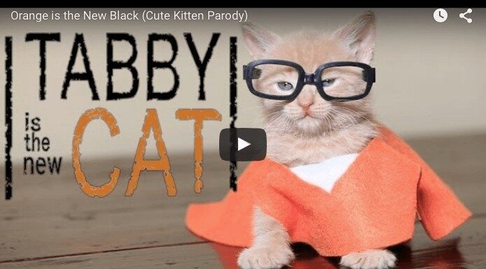 Orange is the new black, la parodia