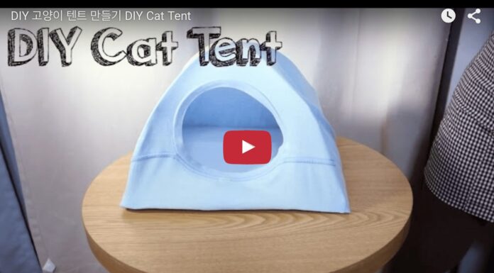 Tenda per il gatto super economica