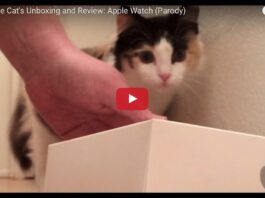 Apple Watch cat unboxing