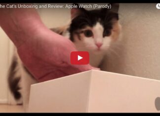 Apple Watch cat unboxing