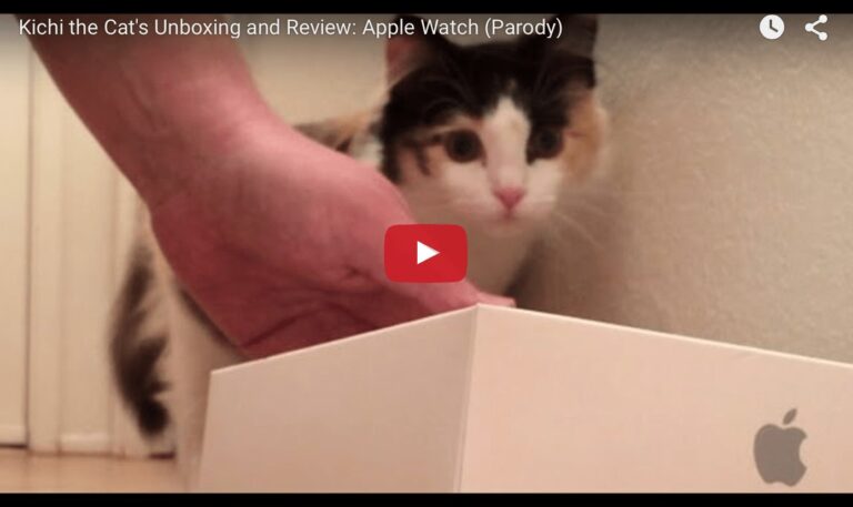 Apple Watch cat unboxing
