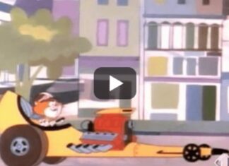 Mototopo e autogatto