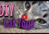 Giochi fai da te per gatti