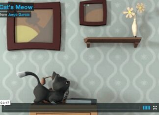 Cat's Meow