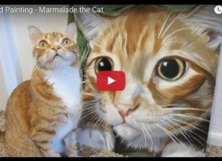 Marmalade speed painting