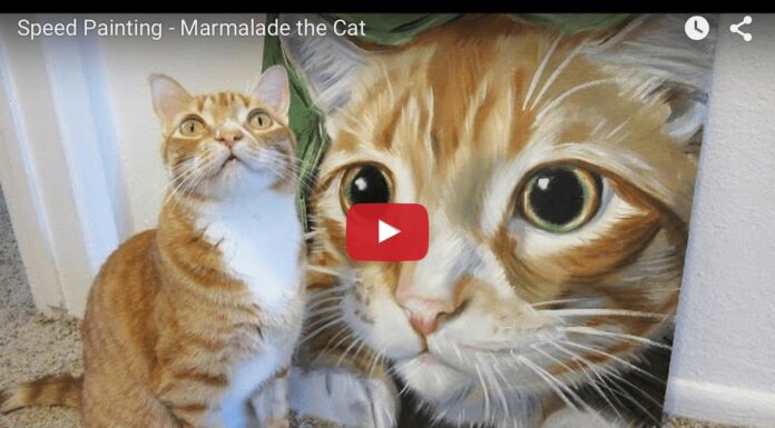 Marmalade speed painting