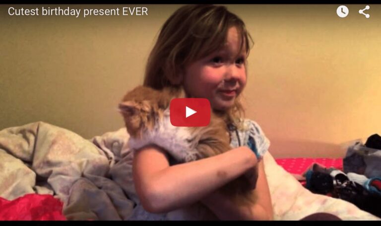 Brooklyn riceve un gattino