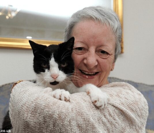 La signora Sue Mckenzie con il suo gatto Tom