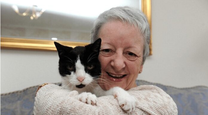 La signora Sue Mckenzie con il suo gatto Tom