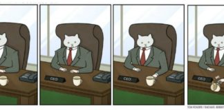 Quando in ufficio comanda il gatto
