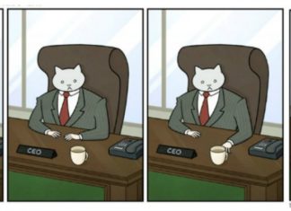 Quando in ufficio comanda il gatto