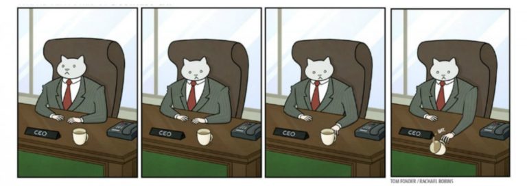 Quando in ufficio comanda il gatto