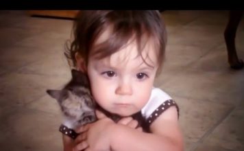 Questa bambina ama tantissimo il suo gattino Olivia e il suo gattino