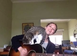 Serenata per il gatto George
