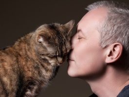 Come capire se il gatto ti ama