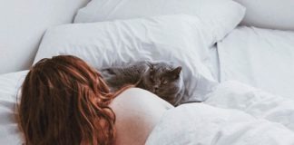 gatto nel letto