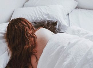 gatto nel letto