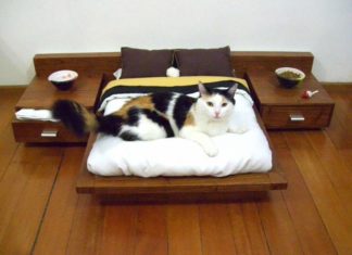 Cat bed