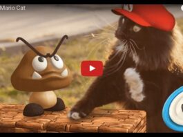 Super Mario Cat