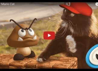 Super Mario Cat