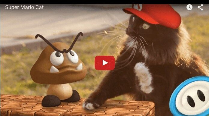 Super Mario Cat