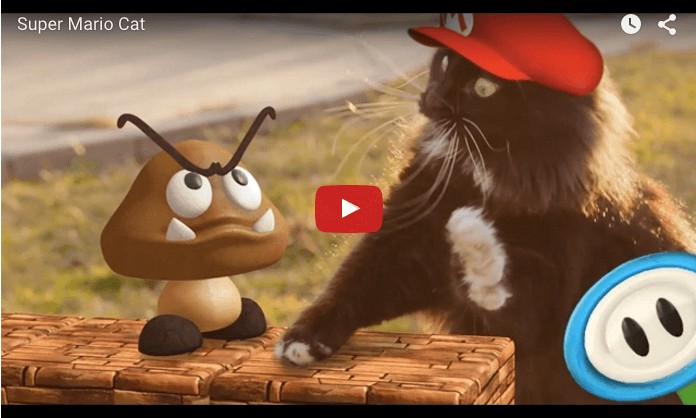Super Mario Cat