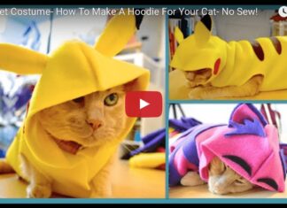 Costume Pikachu