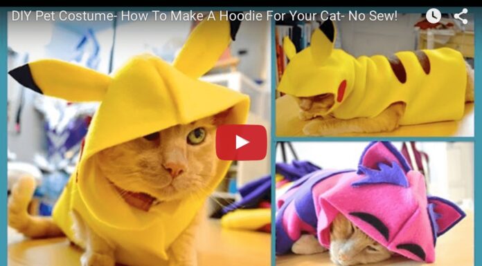 Costume Pikachu