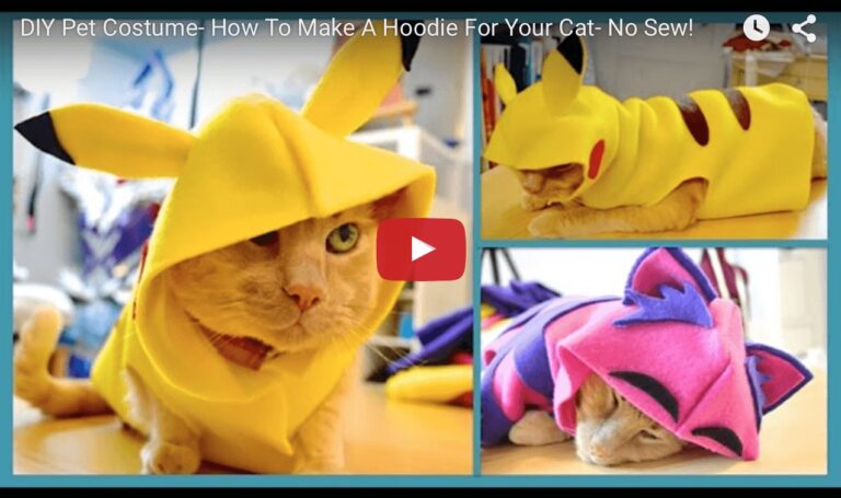 Costume Pikachu