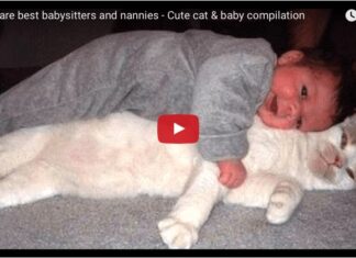 Gatto il miglior babysitter