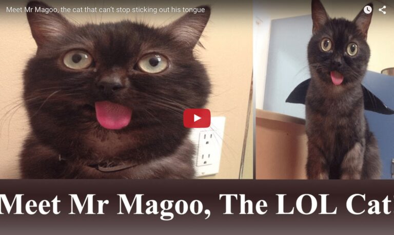 Mr Magoo