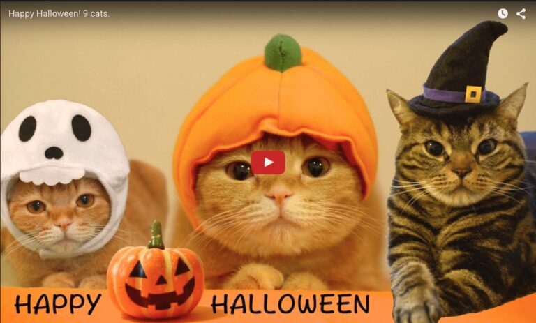 Costumi di Halloween
