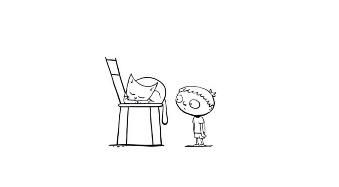 I gatti non sono giocattoli