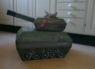 #BrusselsLockdown