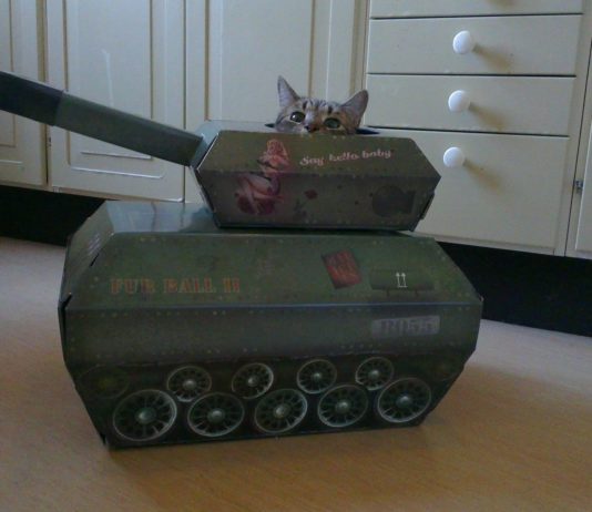 #BrusselsLockdown