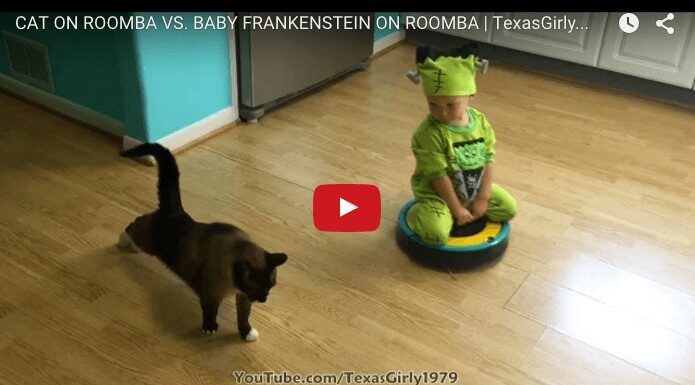 Baby Frankenstein & Roomba cat