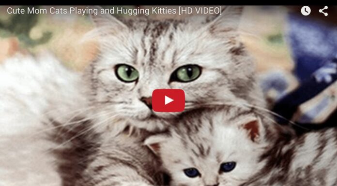 Dormi piccolo mio Dormi amore mio