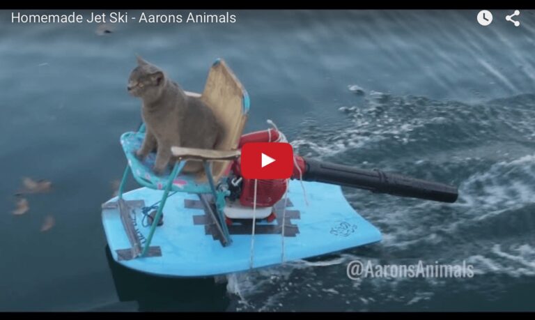 Homemade jetski