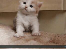 Cuteness overload Cuteness overload