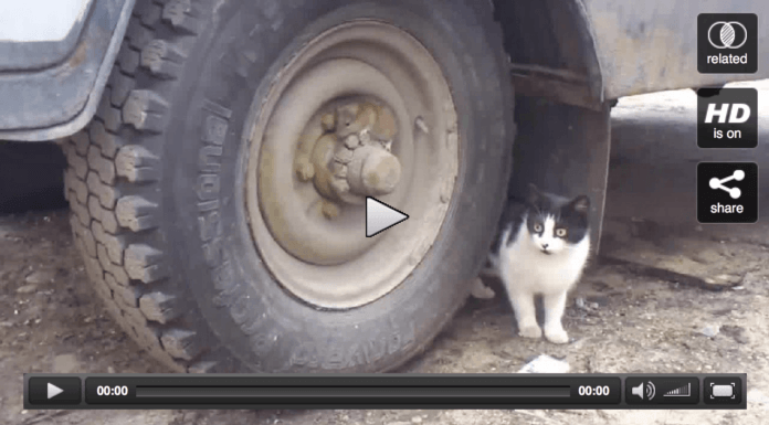 Caccia al topo con finale a sorpresa Caccia al topo