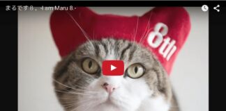 Maru compie 8 anni