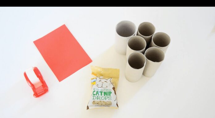 3 giocattoli fai da te per gatti Giocattoli fai da te per il tuo gatto