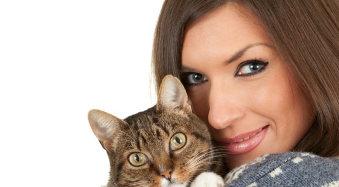 Imparare il gattese