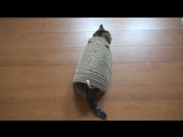 Tiragraffi con Maru incorporato