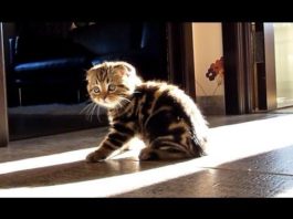 Momenti di gioco Momenti di gioco