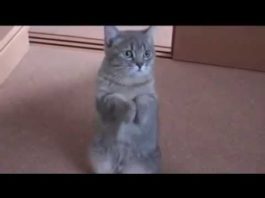 Vi prego coccolatemi