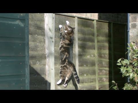 Doppio salto in slow motion