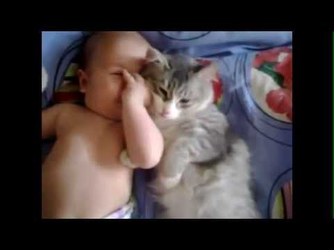 Momenti di tenerezza