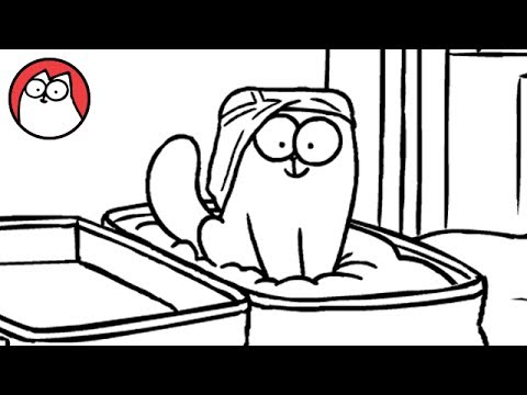 Come preparare la valigia… con un gatto